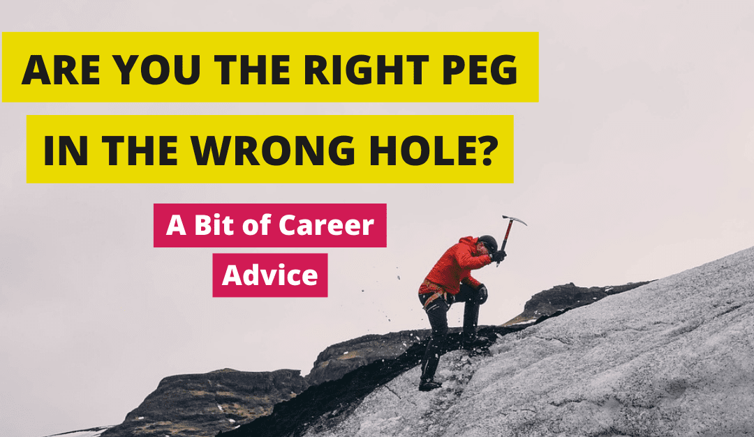 Are you the right peg in the wrong hole? A bit of career advice