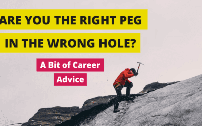 Are you the right peg in the wrong hole? A bit of career advice